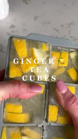 Ginger lemon tea ice cubes 🍋🧊 #gingerlemon #gingercube #gingerlemontea #guthealth #guthealing #immunitybooster #immuneboost #guthealthtiktok #guthealthtips #fyp #foryoupage #healthy #healthyliving 