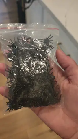 plastic spiders are placed randomly all over my house. makes for a good scream every time you find one and don't expect to  #toddlersoftiktok #toddlersbelike #toddlers #boys #fakespider #fakespiderprank #blackspider #momlife #sahmlife #sahmsoftiktok 