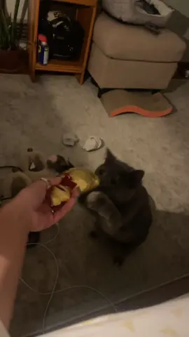 Billie got the cheese tax 