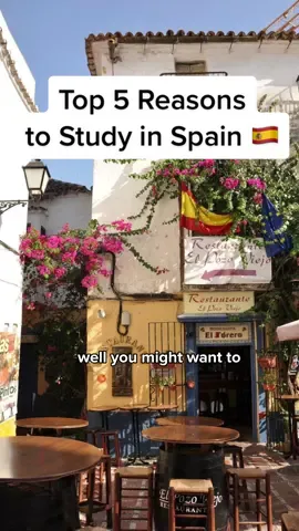 Studying in Spain can be super rewarding!  🇪🇸 These are just a few reasons why so many MBA students choose to study in Spain. #studyabroad #studyinspain #mbatube 