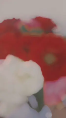 #CapCut محبين الورد🌹🌺