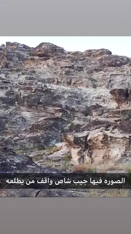 #تحديات_تيك_توك _يا الله-نبغى _فعليات  #حلو_الغز🥀💔😘 