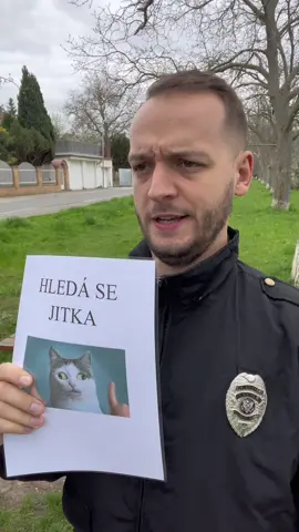 Hledá se kočka 🤔 #selixinho 