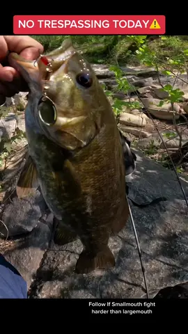 No Trespassing! Instead I hiked for miles to find a honey hole on the river 🎣                #bassfishing #smallmouthbass #bigbass #fishtok #fishing #viral