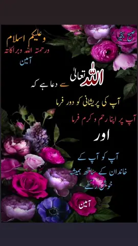 #besgaq❤ #pageforyou_🔥trending❤️video #pageforyou_🔥viral #unfrezzmyaccount #pageforyou_🇵🇰🇺🇸 