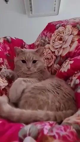 🥰
