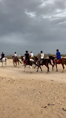 Good morning 🏇🏝️🏜️📸 Horseback on the desert 🏜️ & the beach 🏝️  @sunset.horse.ranch.hurghada 🌅 Experience the Beauty of Hurghada on Horseback  Embark on a unique journey through the sea and desert of Hurghada on horseback. This 2-hour adventure offers a chance to experience the diverse landscapes of Hurghada in a fun and fast way. With the help of a horse trainer, even beginners can feel confident and secure during this exciting excursion. Don’t miss out on this rare opportunity to ride an Egyptian horse in the sea and desert. @sunset.horse.ranch 🌅 #horseridinginhurghada #horseriding #horserider #horseride #horseridinglesson #horseriding🐴 #horseridingholidays #horseridersofinstagram #hurghada #hurghadaegypt #hurghada_hotels #hurghda #hurghada_egypt #hurghadians #hurghada2022🔆🌴✈️🐪🇪🇬 #hurghada😍 #hurghadaegypt🇪🇬 #hurghadaresidents #hurghada❤️ #hurghadacity 