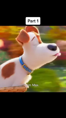 This is Max the dog story Part 1 #cartoon #pets #thesecretlifeofpets #movieclip #ilovecartoon #filmclips 