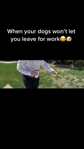 My life be like #doggos #work #dogs #doglovers #dog #fyp 