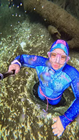 Episode one: Down the rabbit hole we go 🌀👽🧜🏼‍♀️ #underwatertiktoks #freediving #girlswhofreedive #foryou #viral #trendsetter #peace #fypシ #foryoupage #mermaid #gratitude #freedom #journey #Love 