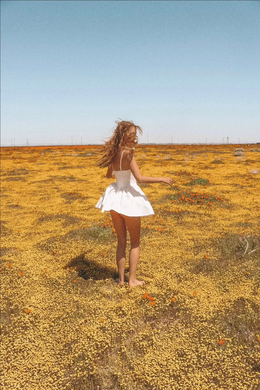 superbloom baby!! poppy fields ar antelope canyon reserve 🌱🫶🏼 #superbloom2023 #superbloom #antelopevalley 