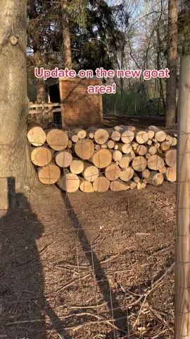 #homestead #homesteading #farmlife #garden #gardening #firewood #stihl 