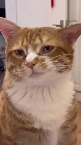 🥰