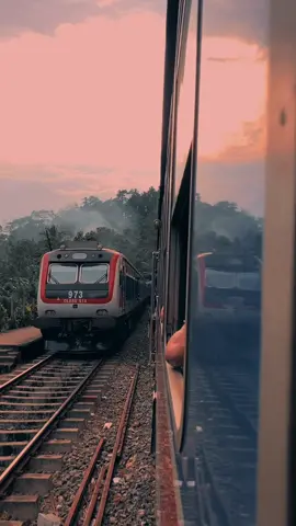 නොරිකෝ මේ මල නුඹට🌸❤️ #train #kandy #fyp #trendingvideo #viral 