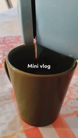 Mini Vlog de Terça-feira, se gostou curti e comenta para eu saber! ✨🌷🫰 #tiktok #Vlog #rotina #CapCut 
