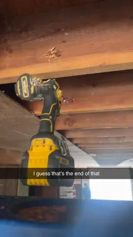 Welp thats the end of that @dewalttough @dewaltofficial 