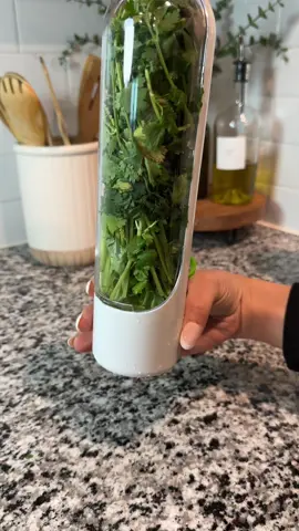 2 week review of this amazon find and my cilantro still very fresh 😍 #amazonkitchenfinds #amazonkitchenfavorites #amazonfridgeorganizer #amazonfridgefinds 