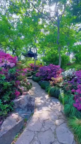 #scenery #path #beautiful #flower 