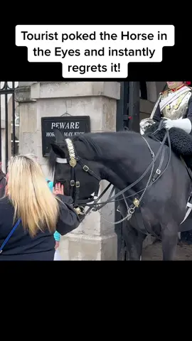 Lady Poked the Horse in the Eyes and Instantly regrets it  #foryou #kingsguard #horseguardsparade #fyp #London #uk #horse #viral 