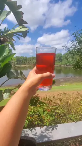RoohAfza is not a Ramadan thing for me 🙂 it's  my pantry Essential ✨️ #fyp #summerdrink #roohafza #tehniat 