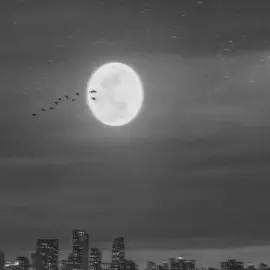 ছায়া- blue touch