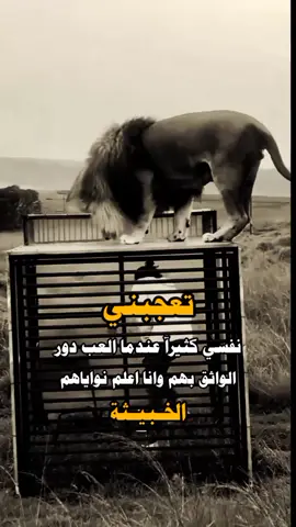 #اكسبلورexplore 