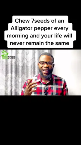 Chew 7seeds of an Alligator pepper every morning and your life will never remain the same #fyp #tiktok #trending #viral #tiktokafrica #spirituality #spiritualitytiktok #trendingsong #spiritualawakening #tiktoknigeria🇳🇬 #tiktokghana🇬🇭 #spiritualhusband 