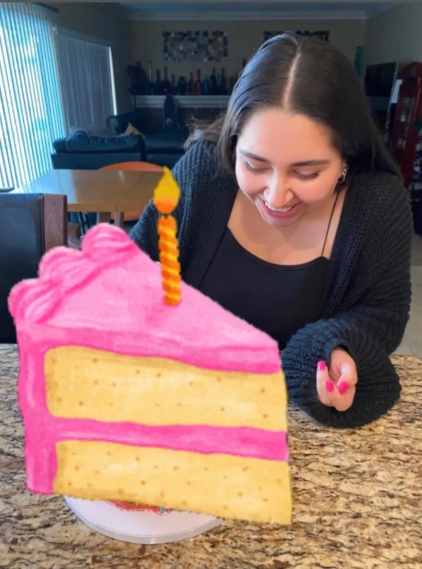 24th birthday cake reveal 🎂🍾✨ it was indeed what dreams are made of. • #lizziemcguire #birthdaycake