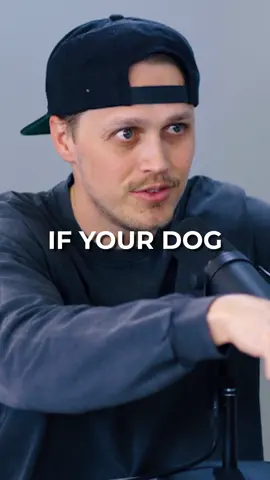 Your Dog Is An Entity #entity #smiledog #dog #creepypasta #viral #fyp #bbgsquad 