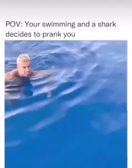 #fypシ #shark #swimming #fun #funnyvideo #😅😅😅 #scared #😂😂😂😂 #foryou #worlwide 