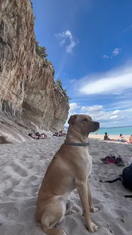 Trekking Cala Luna, Sardegna💙💚   #video #amici #trekking #sardegna #orosei @Memy Saba @Giordano Comella 