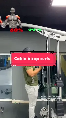 Cable bicep curls are a very effective way to workout your biceps because it keeps the biceps engaged all time because of tension. With a little adjustment the load becomes less on your shoulders which are engaged no matter what. The percentage is just a way of showing how the focus shifts and depends on many other factors. مع  تعديل بسيط يصبح الحمل اقل على الكتفين و التركيز اكثر على عضله البايسبس. . #cablebicepcurl #bicepcurl #bicepworkout #bicepsexercises  As always the numbers are just a way of showing how the work focuses and will depend on many other factors.