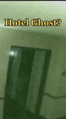 On September 14, 2003 at a Wingate Hotel in Illinois, guests were complaining of screaming on their floor. This is what was recorded by security. #creepy #spooks #scary #paranormal #encounter #ghost #fyp 