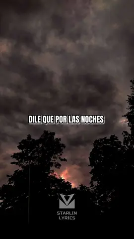 Dile- Elvis Martínez #lyrics #lyricsvideo #romocoño🥃 #elvismartinez #fyp #bachata #bachatadance #lyris #hoysebebe #parati 