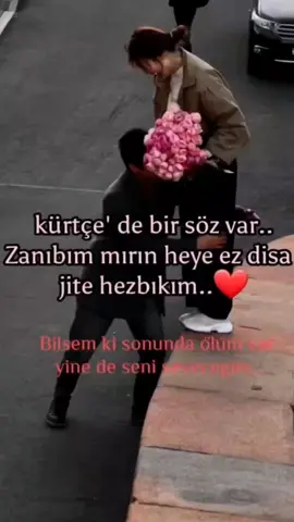 #kesfetbeniöneçıkartt #Love #romantik #ask #izlemedengecme #keşfetbeni #birsözbırak #keşfetbeniöneal #tiktoktakesfetteyiz #kesfetbeni #guzelsozler #sevgi #kesfetengelimikaldır #kesfeten #özlemek #seniçookseviyorum #hayalkırıklığı #bayraminizkutluolsun #hayalkirikligi #hasbelkader #CapCut #capcutakım #hasbelkader #capcutedit #CapCutVelocity #tiktok 