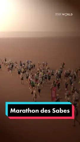 🏃‍♂️🏃‍♀️ The 𝟑𝟕𝐭𝐡 edition of 𝐌𝐚𝐫𝐚𝐭𝐡𝐨𝐧 𝐝𝐞𝐬 𝐒𝐚𝐛𝐥𝐞𝐬 has kicked off. The ultra marathon takes place in the 𝐌𝐨𝐫𝐨𝐜𝐜𝐚𝐧 𝐒𝐚𝐡𝐚𝐫𝐚 𝐃𝐞𝐬𝐞𝐫𝐭 and consists of approximately 𝟐𝟓𝟎 𝐤𝐢𝐥𝐨𝐦𝐞𝐭𝐞𝐫𝐬 of running.  #fyp #dc #dlaciebie #MarathonDesSables #UltraMarathon #MoroccanSaharaDesert #Sports #LongDistanceRunning
