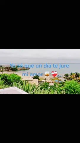 Tú me confundes- Paolo Plaza #salsa #paoloplaza #tumeconfundes❤ 