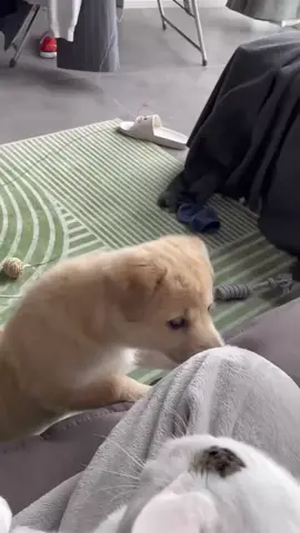 🥰