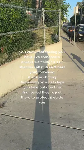 we’re never alone #fyp #shadowself 