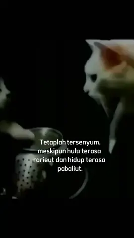 #setorysunda #xyzbca #fypシ #ngacapruklagihh😂🤦 