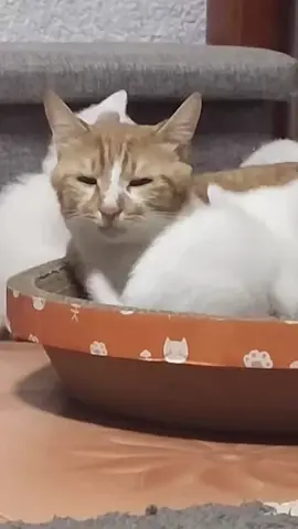 🥰
