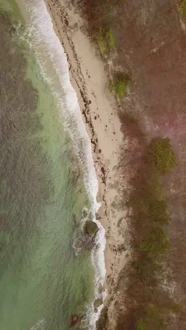 drone shot #fyp #elyu #launion 