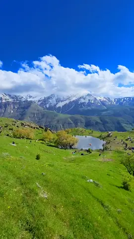 G دیمەنی جوانی کوردستان🍀🌼#گۆمی_فێلاو_چومان #کوردستان #چۆمان #kurdistan #hawler #choman #foryou #foryoupage 