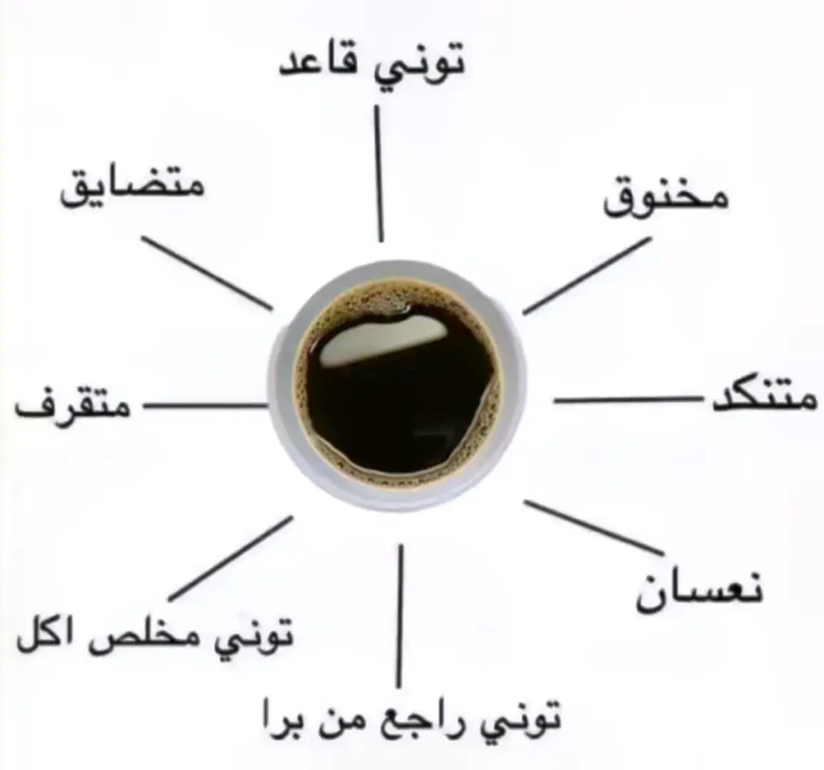 #explore #fyp #الطائف #اكسبلورexplore #v60 