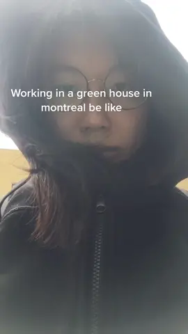 #greenhouse #plants #montrealweather #canada #spring #music #bop #pop