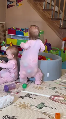 Toddlers are so weird! #twins #toddlers #ballpit #twinsoftiktok 