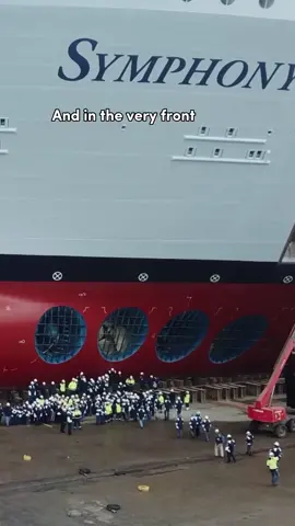 How in the WORLD does a cruise ship move? #cruiseship #cruising #travel #ship_facts #fyp 