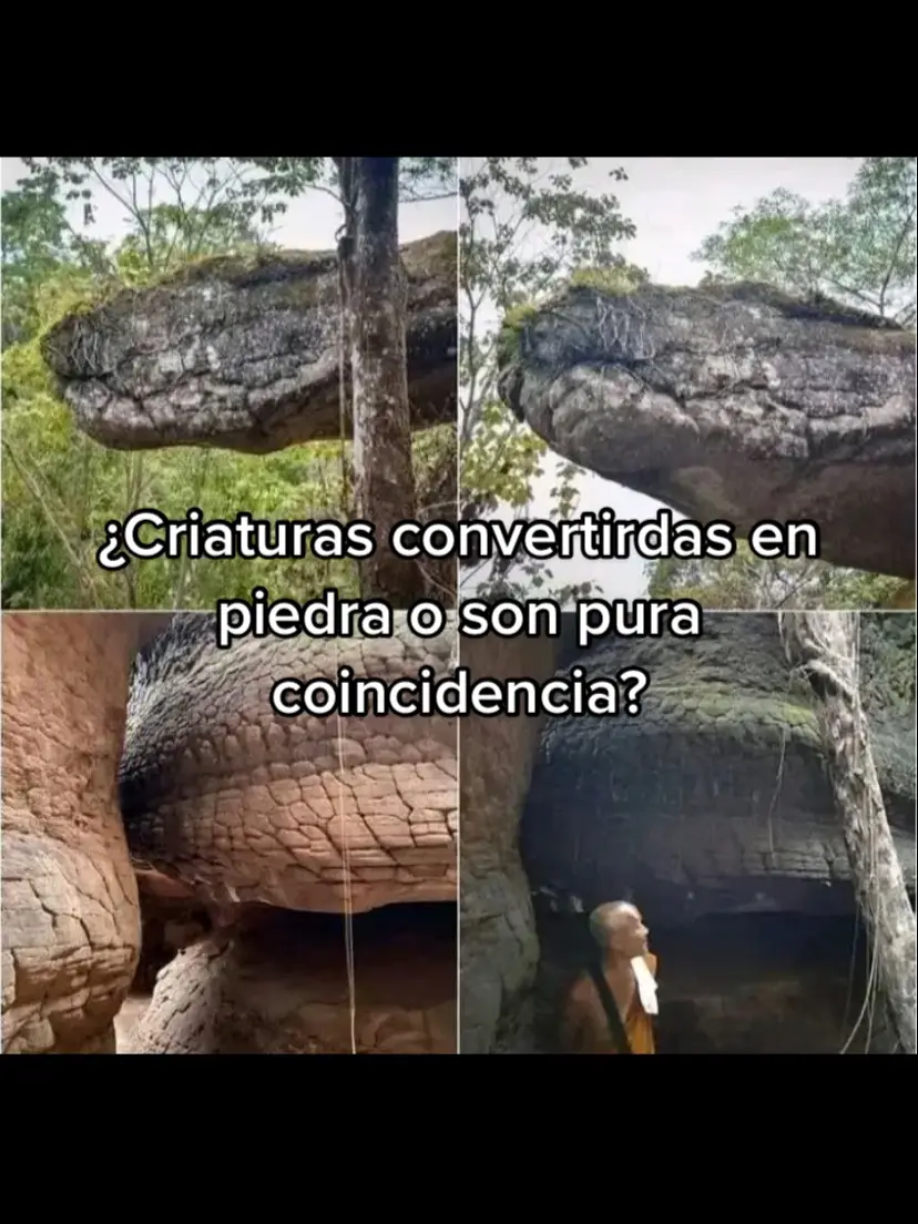 ¿Criaturas convertidas en piedra o son pura coincidencia?