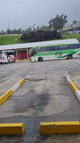 #belleza #♥️♥️♥️ #expres_sucre_internaciional💢💯😎 #80 #olimpica #volvo #b380r #buses_ecuador🚍🇪🇨viral #si_te_gusto_comparte😍 #dale_❤️ #sigueme_y_te_sigo #cumplo😱♥️ 