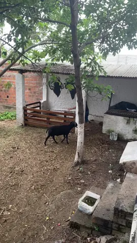 Chico feliz 🤣